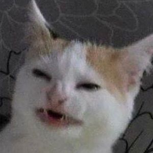 Meet your Posher, Camilla